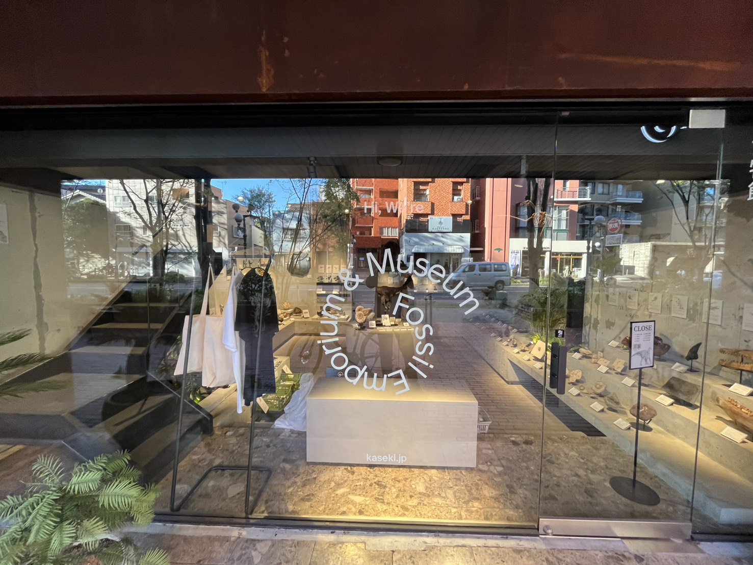 「買える化石博物館 FUKUOKA」様の、店舗ガラス面ウインドウサイン・カッティングシート切文字の製作・施工をさせていただきました。