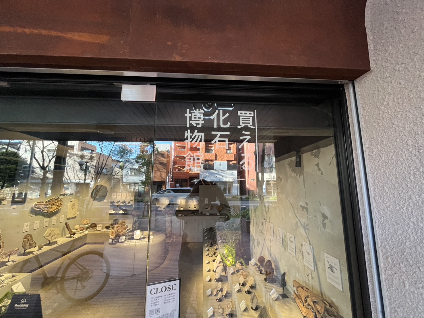 「買える化石博物館 FUKUOKA」様の、店舗ガラス面ウインドウサイン・カッティングシート切文字の製作・施工をさせていただきました。